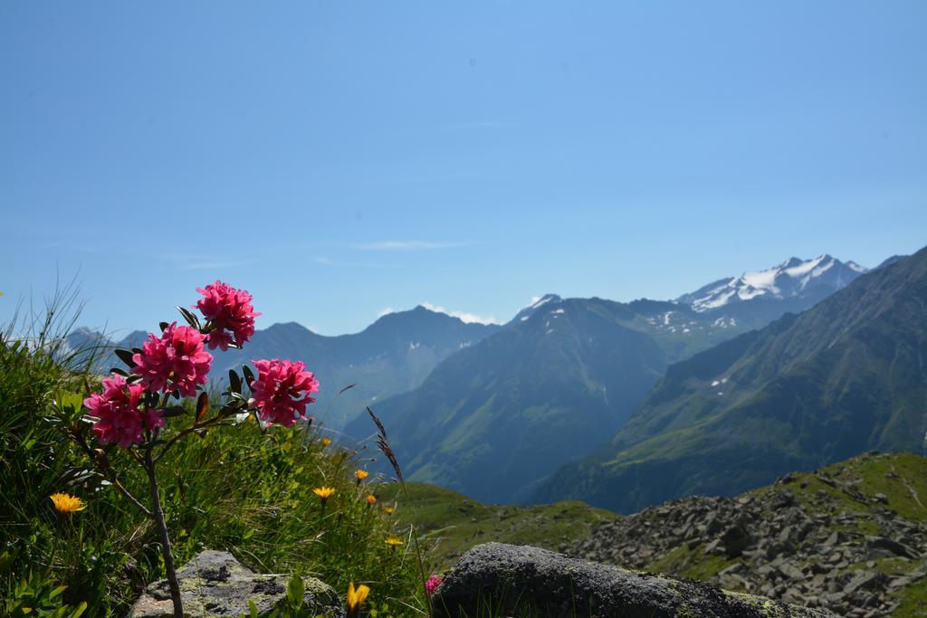 Pension Am Rain Neustift im Stubaital Exterior foto