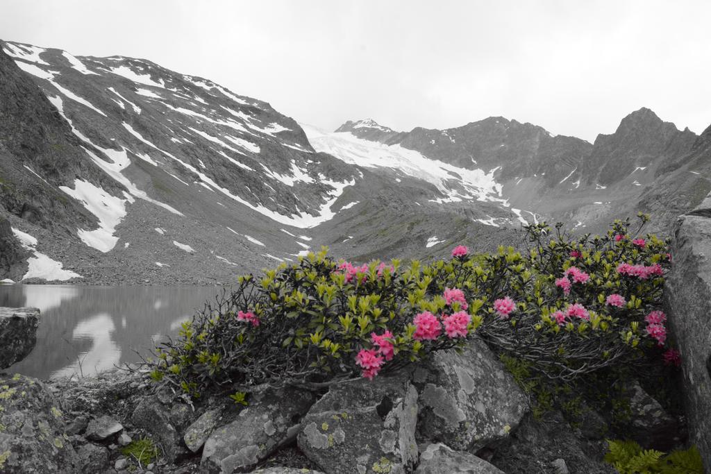Pension Am Rain Neustift im Stubaital Exterior foto