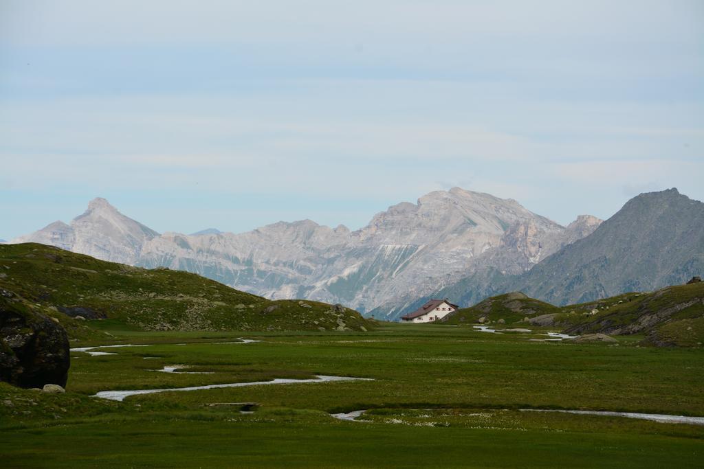 Pension Am Rain Neustift im Stubaital Exterior foto